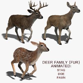 Deer Family (FUR) (ANIMATED)